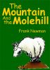 The Mountain and the Molehill by Frank Newman