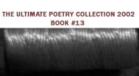 Cover for 'THE ULTIMATE POETRY BOOK 2002 - BOOK THIRTEEN'
