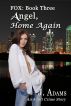 Angel, Home Again by J. Adams