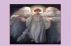 Doves Or Angels by Patricia A. Lopez
