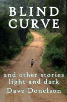Cover for 'Blind Curve And Other Stories Light And Dark'