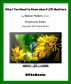 What You Need to Know about LCD Monitors by Steve Mullen