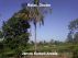 Relax,Doctor by James Kemoli Amata