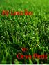 My Lawn boy by Orva Petit