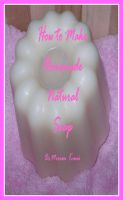 Cover for 'How to Make Natural Soap'