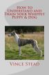 How to Understand and Train your Whippet Puppy & Dog by Vince Stead