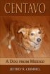 Centavo; A Dog From Mexico by Jeffrey Crimmel