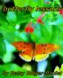 Butterfly Lessons by Betsy Bolger Paulet 