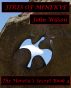 Fires of Minerve: The Heretic's Secret book 4 by John Wilson