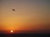 A Mossad Takeout in Beirut.  A Jordan Kline story by Stephen Ayers