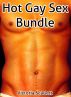 Hot Gay Sex Bundle by Victoria Scarlett
