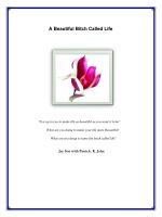 Cover for 'A Beautiful Bitch Called Life'