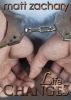 Life Changes (The New Discoveries Series #3) by Matt Zachary
