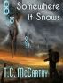 Somewhere it Snows by T.C. McCarthy