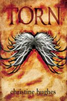 Cover for 'Torn'
