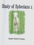 A Study in Ephesians 2 by Margaret Radisich Sleasman