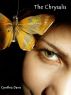 The Chrysalis by Cynthia Davis