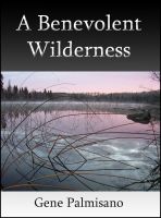 Cover for 'A Benevolent Wilderness'