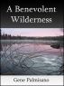 A Benevolent Wilderness by Gene Palmisano
