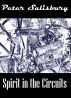 Spirit in the Circuits by Peter Salisbury
