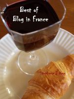 Cover for 'Best of Blog in France'