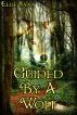 Guided By A Wolf (M/M Erotica) by Ellie Saxx