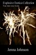 Explosive Erotica Collection by Jenna Johnson