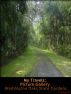 My Travels: Picture Gallery Washington Oaks State Gardens by M Downing