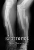 Shattered by Scott Crowder