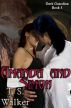 Amanda and Simon - Dark Guardian book 2 by T. S. Walker