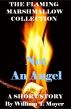 Not An Angel by William T. Moyer