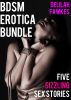 BDSM Erotica Bundle (Five Sizzling Sex Stories) by Delilah Fawkes