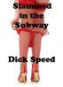 Slammed in the Subway by Dick Speed