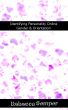 Identifying Personality Online Gender & Orientation by Rebecca  Semper