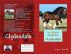 How to Raise and Care for Your Clydesdale Horse by Vince Stead
