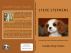 Cavalier King Charles Dog Training & Behavior Book by Vincent Stead