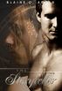The Storyteller by Blaine D. Arden