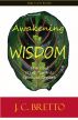 Awakening To Wisdom: Practical Steps Towards Spiritual Growth by JC Bretto