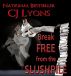 Break Free from the Slushpile by CJ Lyons