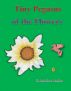 Tiny Pegasus of the Flowers by Krissttina Isobe