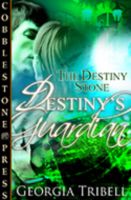 Cover for 'The Destiny Stone Trilogy'
