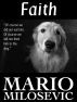 Faith by Mario Milosevic