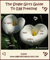 Cover for 'The Single Girl's Guide To Egg Freezing'