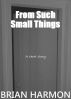 From Such Small Things by Brian Harmon