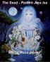 The Seed - Pedhro Jera Isa by Milton Roza Junior