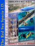 The Red Sea Specie I.D. Reference Guide by Shai S Bitton