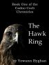The Hawk Ring by Yowann Byghan