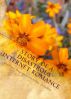 Story of a Disastrous Internet Romance by Svetlana Repina