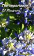 The Importance Of Flowers by Gene  Ashburner