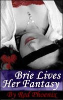 Cover for 'Brie Lives Her Fantasy (Brie, #4)'